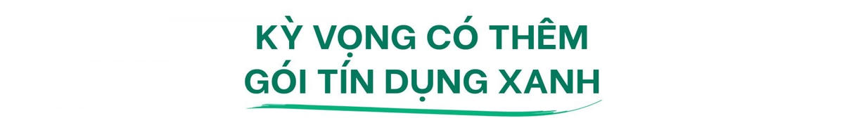 Chặng đường phát triển bền vững của everpia