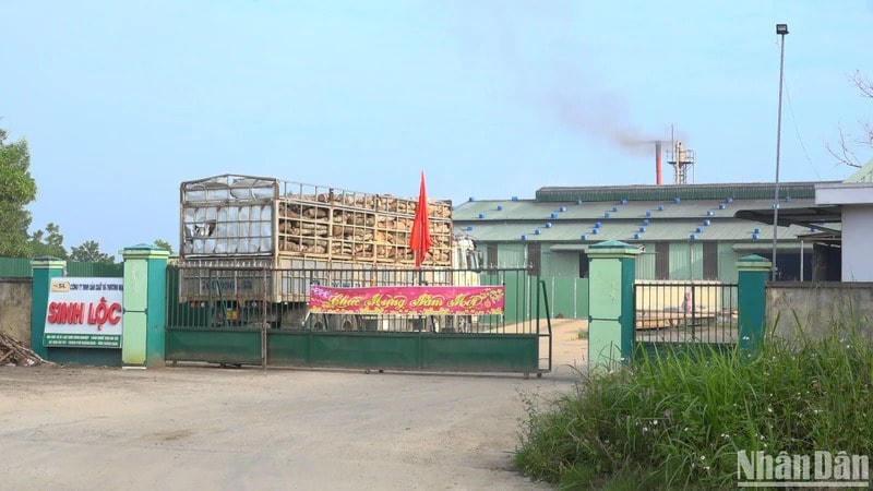 Quảng Ngãi phạt 330 triệu đồng doanh nghiệp xả nước thải có chứa xyanua vượt ngưỡng ra môi trường