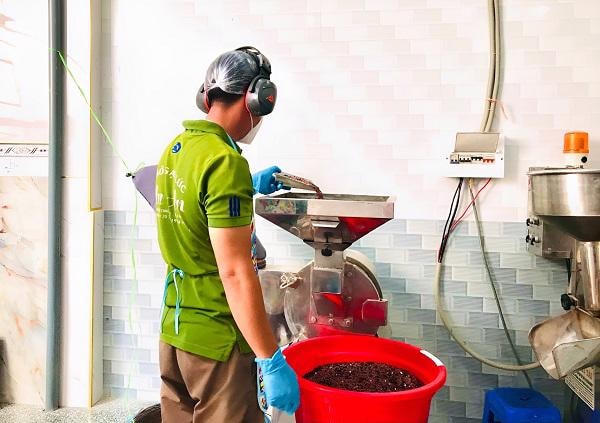 Khi “hạt gạo làng ta” thành sản phẩm OCOP