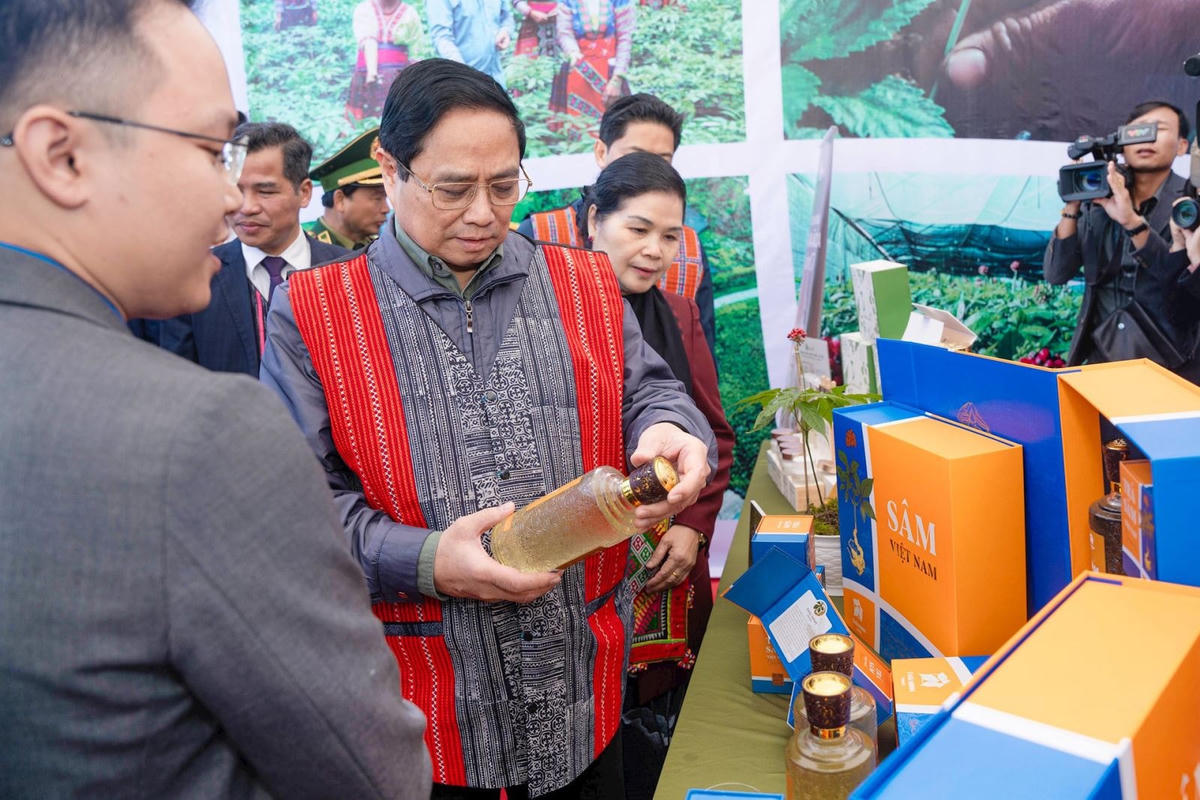 Thủ tướng Phạm Minh Chính thăm mô hình trồng sâm Lai Châu của Dược phẩm Thái Minh