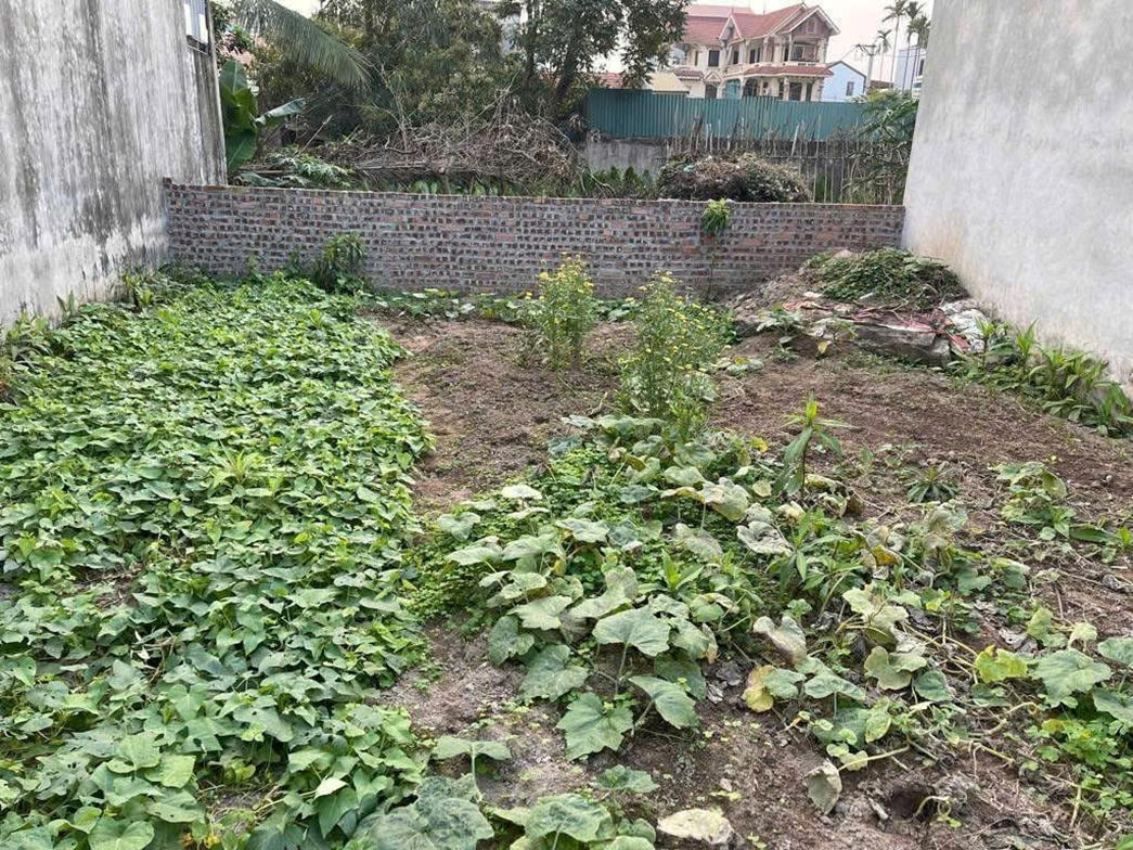 Hà Nội sẽ tiếp tục đẩy nhanh tiến độ hoàn thành cấp GCNQSDĐ. (Ảnh: Đình Khuê)