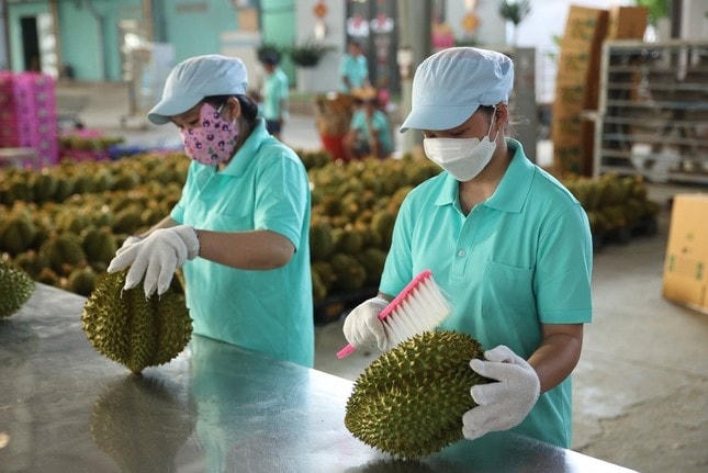 Hơn 30 mặt hàng xuất khẩu vượt kim ngạch trên 1 tỷ USD