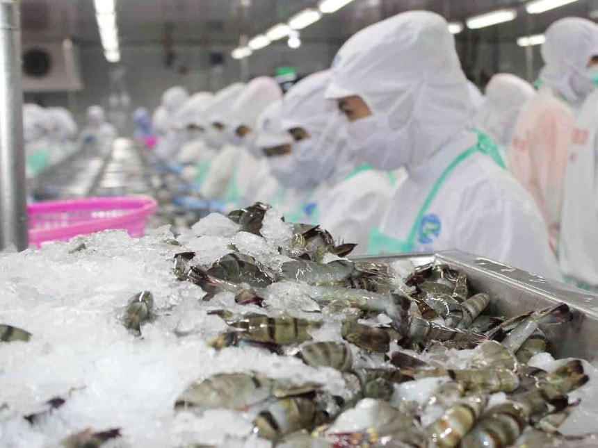 Hàng rào phòng vệ thương mại đặt ra thách thức lớn đối với xuất khẩu hàng hoá Việt Nam