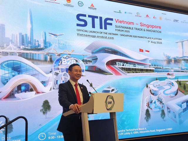 Thúc đẩy giao thương giữa DN Việt Nam và Singapore- Ảnh 1.