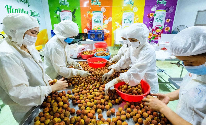 Chờ đợi tín hiệu tăng trưởng tín dụng trở lại