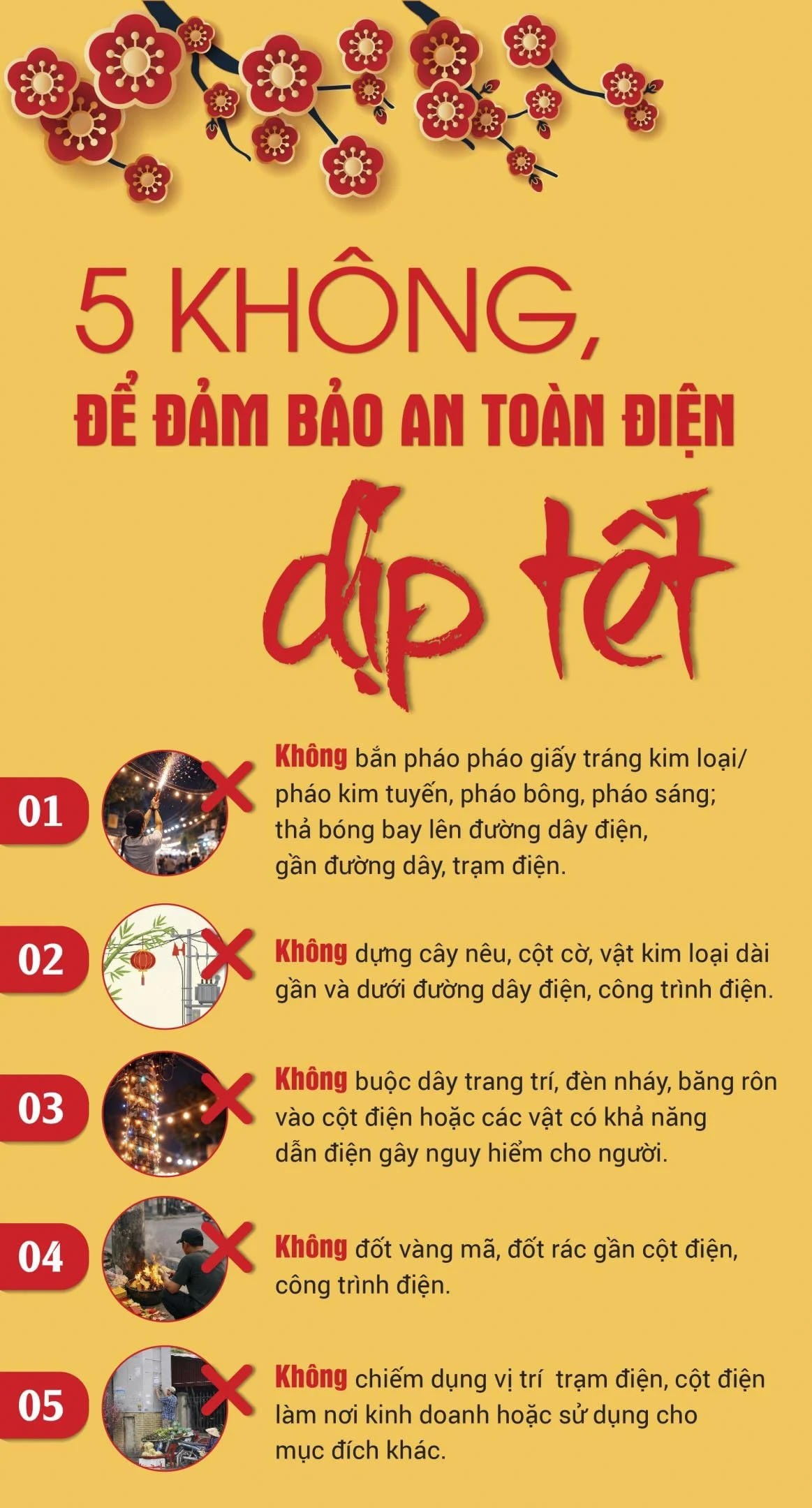 5 không để đảm bảo an toàn điện dịp Tết. Ảnh: EVN.