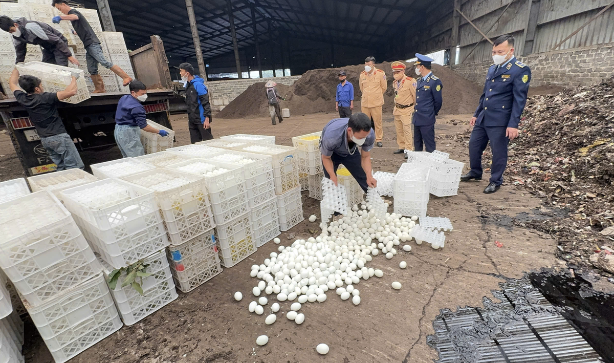 Số&nbsp;trứng vịt lộn có dấu hiệu không bảo đảm an toàn thực phẩm đang được vận chuyển đi tiêu thụ trên địa bàn.