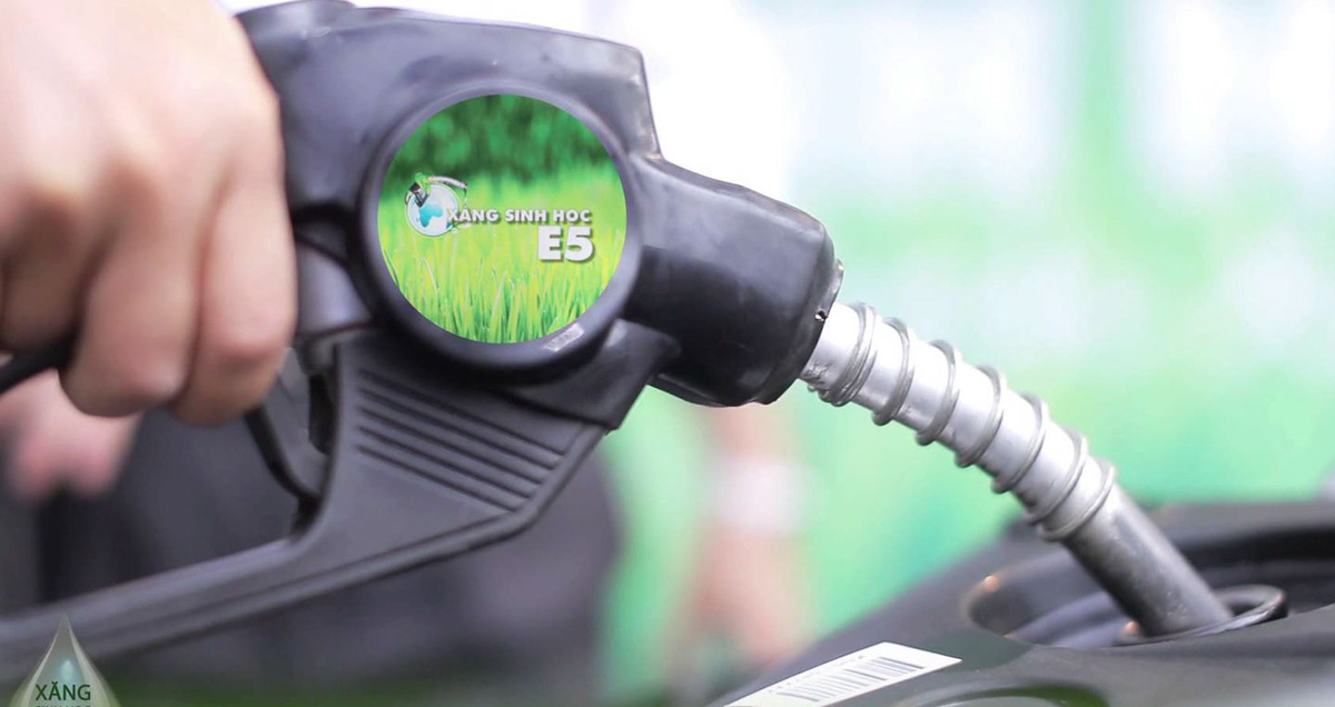 Chỉ thị số 07/CT-TTg được ban hành nhằm tháo gỡ vướng mắc, hoàn thiện lộ trình phối trộn và bảo đảm nguồn cung xăng sinh học ổn định cho thị trường. Ảnh minh họa