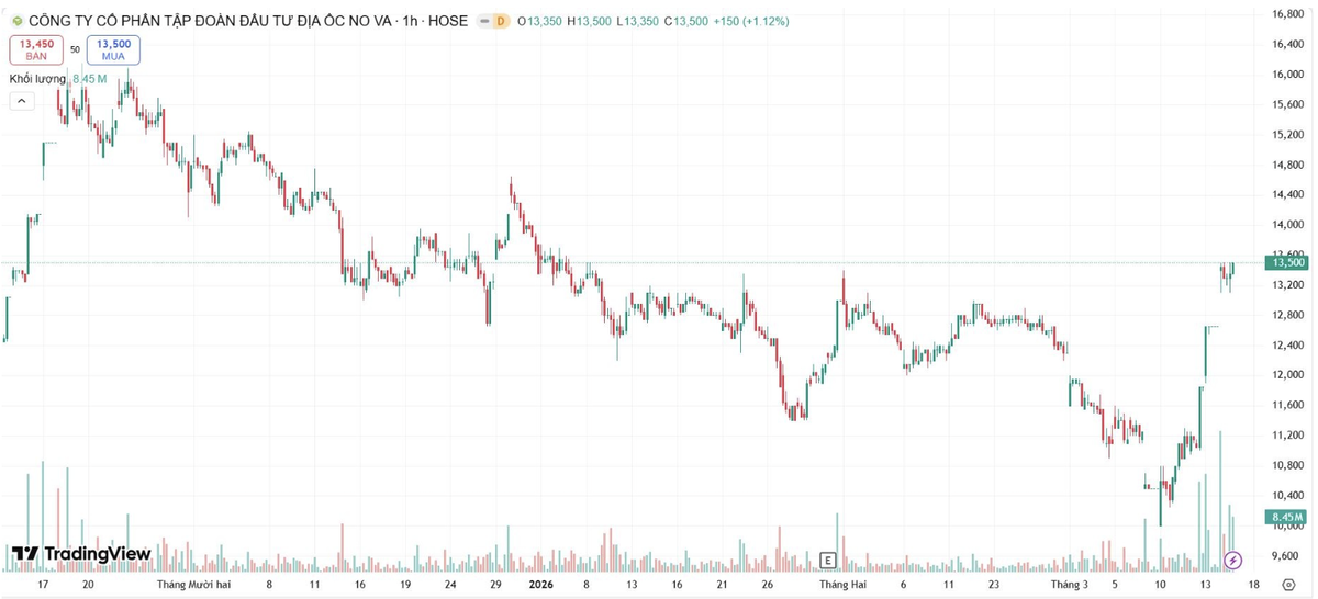 Trên thị trường chứng khoán, cổ phiếu NVL ghi nhận diễn biến tích cực sau giai đoạn điều chỉnh.