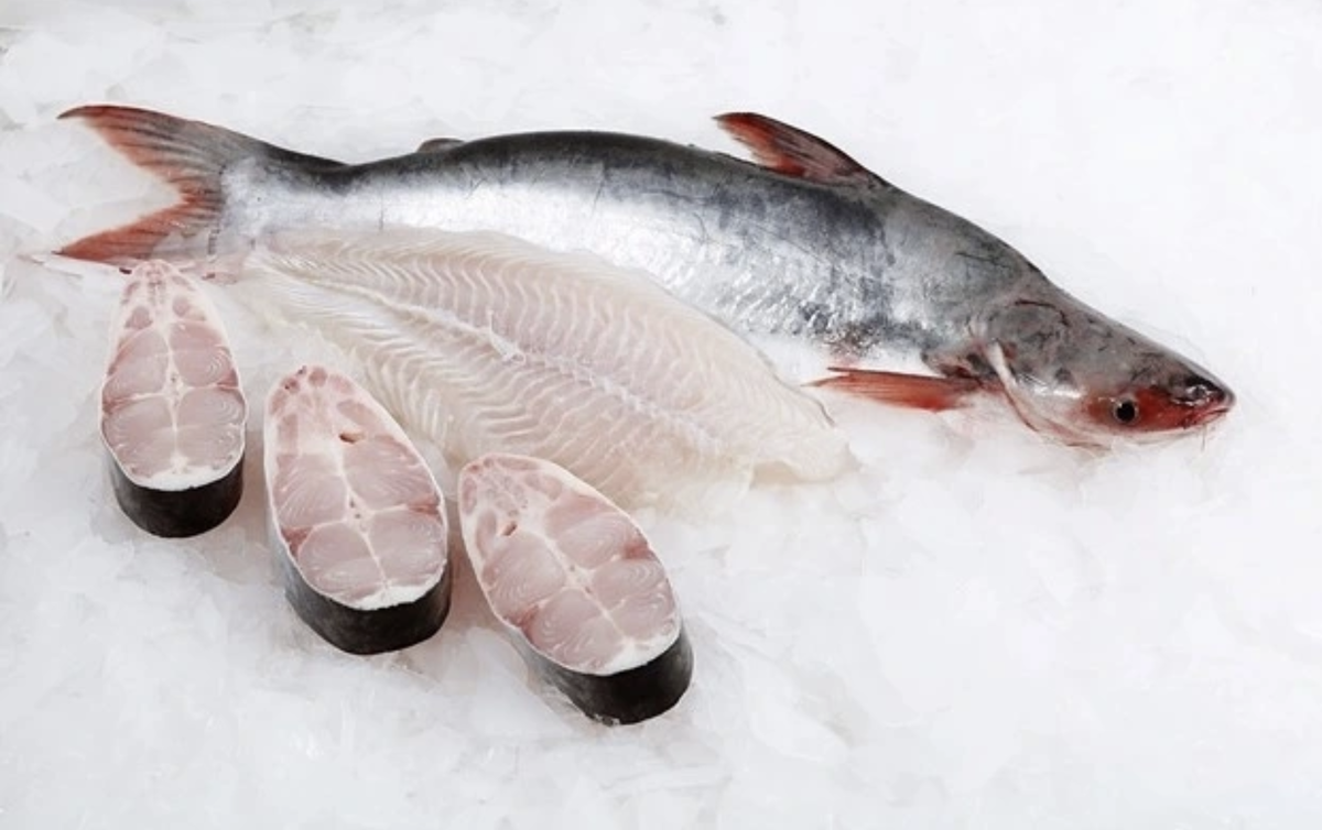 Theo ghi nhận, cá basa Việt Nam không chỉ mở rộng độ phủ trong lĩnh vực nhà hàng mà còn từng bước chiếm lĩnh các kênh bán lẻ quy mô lớn tại Nhật Bản.