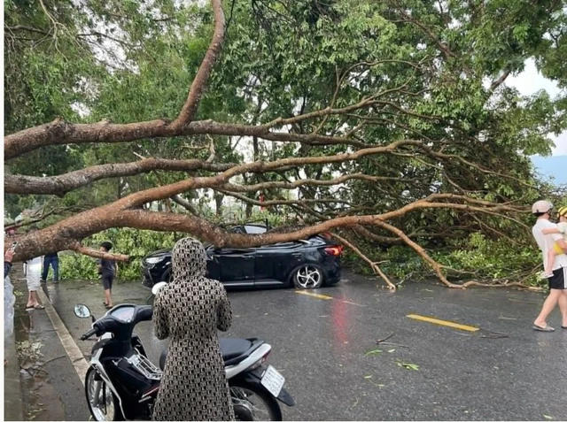 Hai đợt mưa dông kèm lốc, sét và mưa đá xảy ra trong hai ngày 29 và 30/3/2026 tại nhiều tỉnh, thành miền Bắc đã gây thiệt hại về người và tài sản. Ảnh: SKĐS