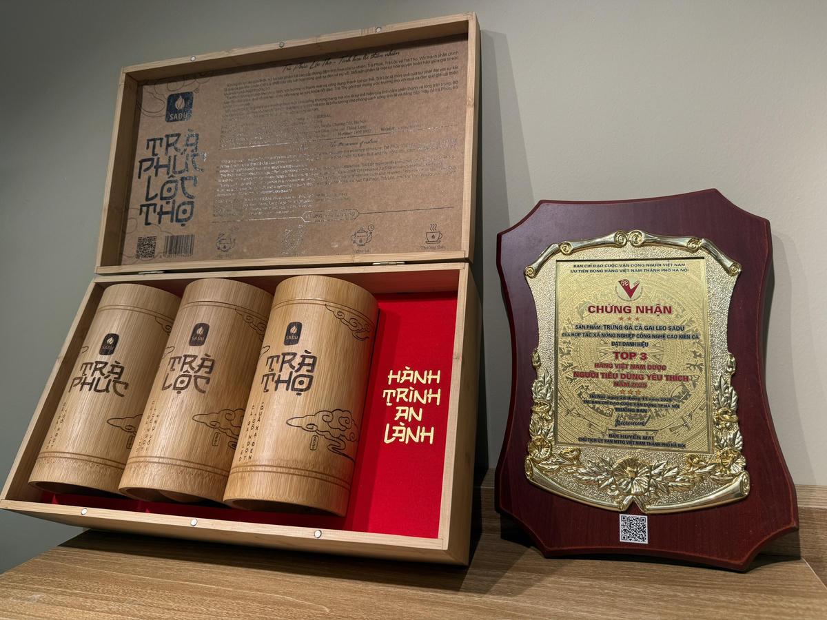 Sản phẩm được khách hàng trực tiếp đánh giá và cảm nhận.