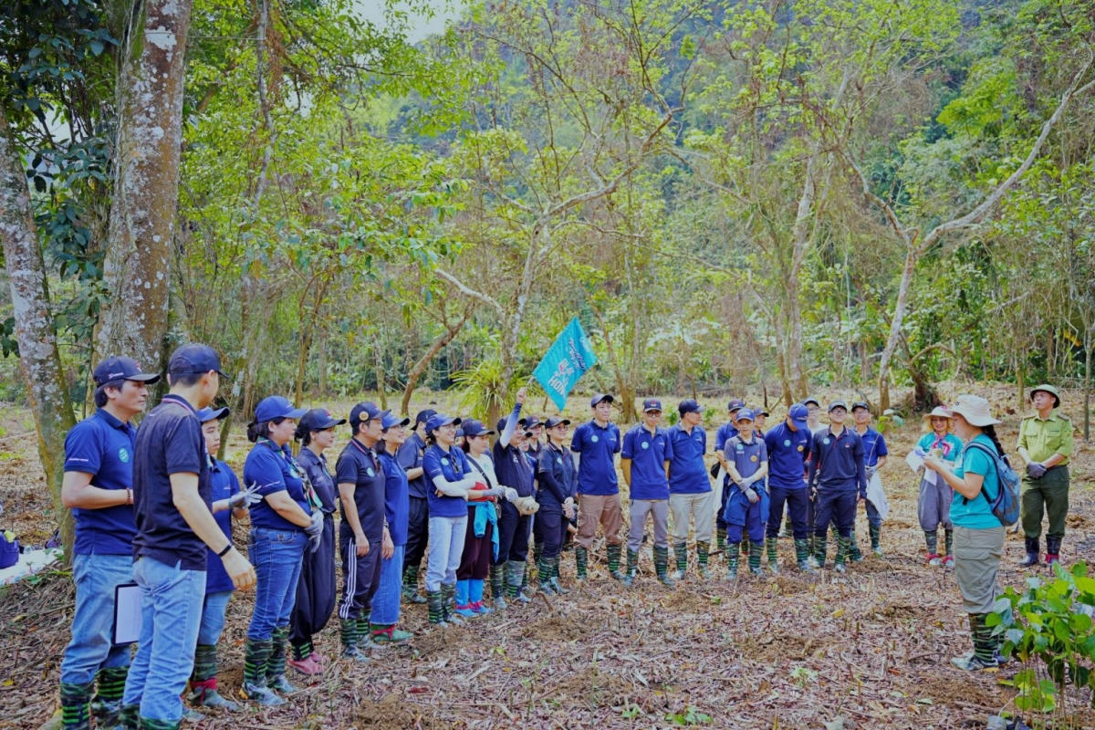 Mitsubishi Motors Việt Nam đồng hành cùng Gaia trồng 2.000 cây tại Cúc Phương. (Ảnh: VOV)