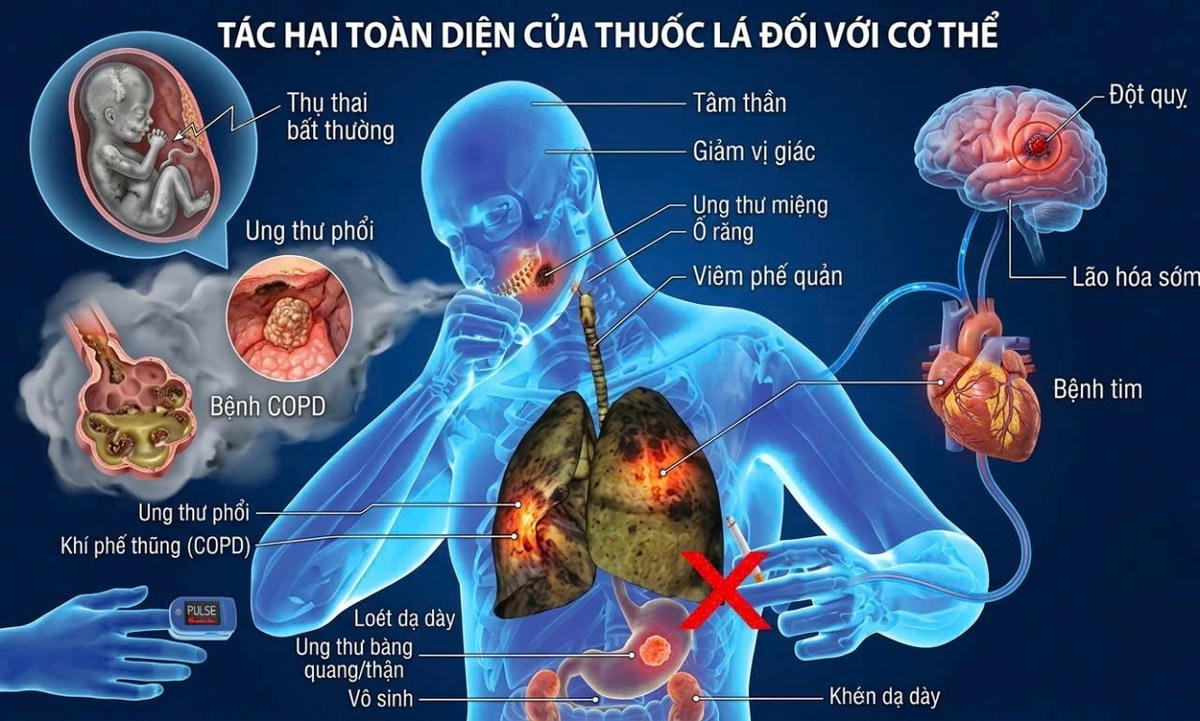 Thuốc lá, xì gà là nguyên nhân hàng đầu của ung thư vòm họng, miệng, thực quản, phổi, bệnh tim mạch và các loại bệnh tật khác.