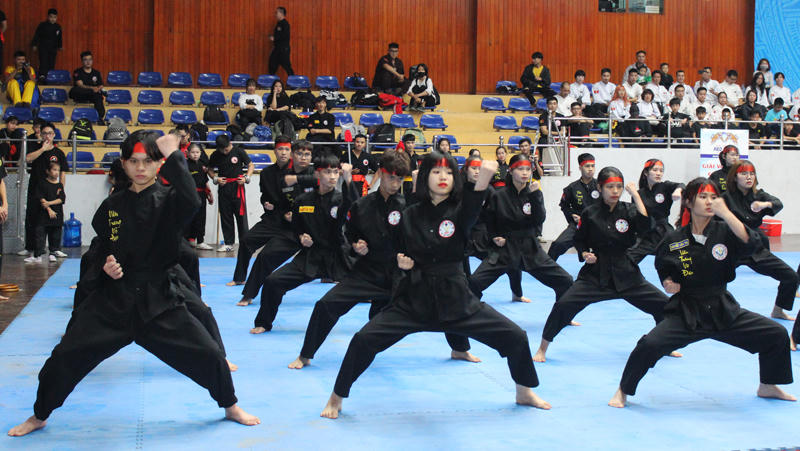 Festival Võ thuật quốc tế 2026&nbsp;dự kiến diễn ra trong 3 ngày, từ 7 đến 9/8/2026. (Ảnh minh họa)