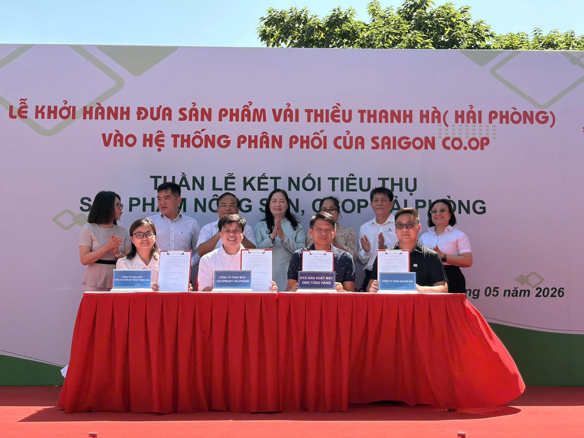 Đại diện Saigon Co.op cùng các doanh nghiệp, hợp tác xã và nhà cung cấp thực hiện nghi thức ký kết hợp tác tiêu thụ nông sản, hàng OCOP Hải Phòng (Ảnh (Saigon Co.op).