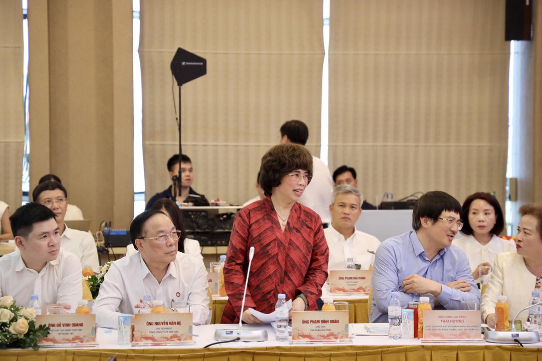 Anh hùng Lao động Thái Hương phát biểu tại hội nghị "Doanh nghiệp, doanh nhân tư nhân Việt Nam với đổi mới mô hình phát triển đất nước và chính sách Đảng viên làm kinh tế tư nhân". 
