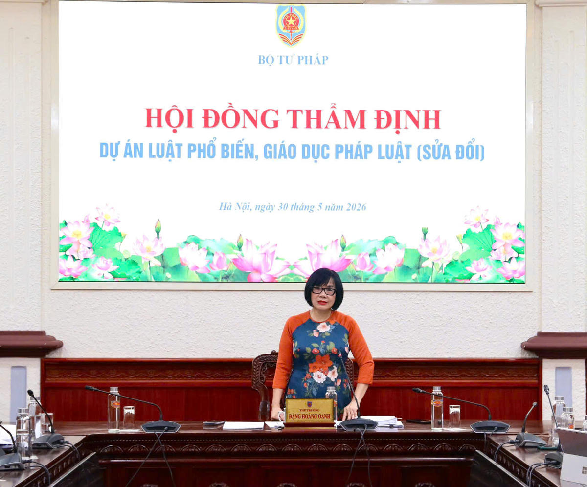 Thứ trưởng Bộ Tư pháp Đặng Hoàng Oanh phát biểu tại buổi thẩm định. Ảnh: VGP/DA