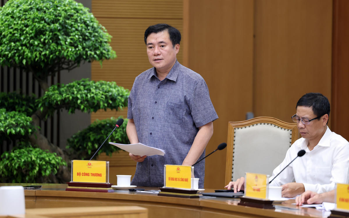 Thứ trưởng Bộ Công Thương Nguyễn Sinh Nhật Tân báo cáo tại cuộc họp. Ảnh: VGP