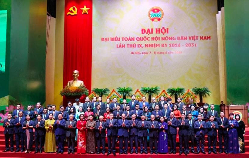 img_7428.jpeg