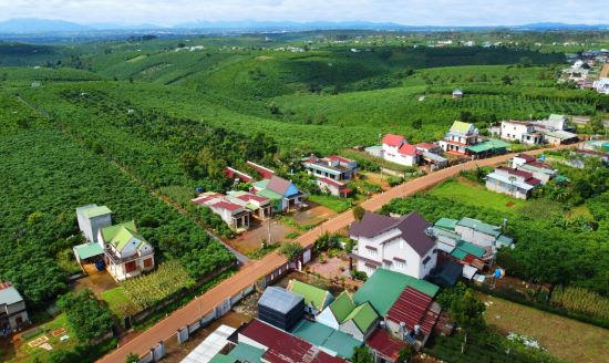 Ảnh minh họa.