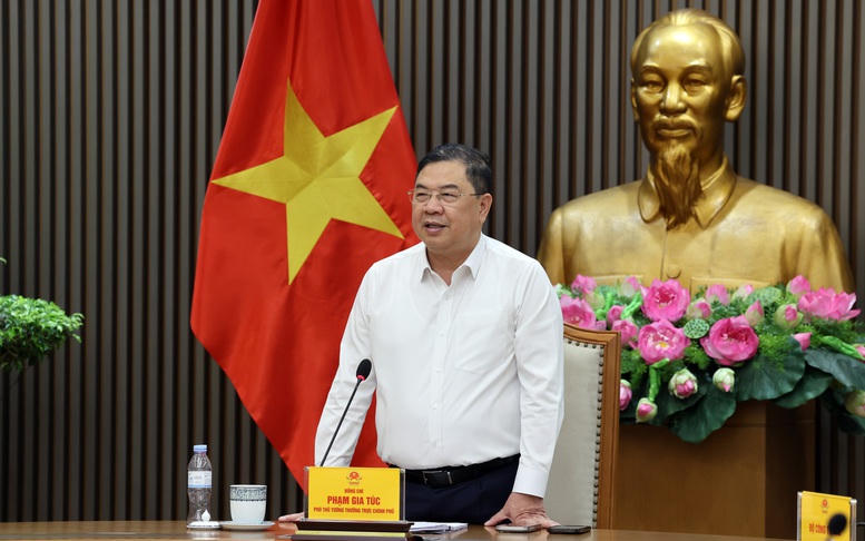 Phó Thủ tướng Thường trực Phạm Gia Túc: Hoàn thiện chính sách nhập khẩu ô tô diện quà biếu, quà tặng, bảo đảm công bằng và minh bạch- Ảnh 2.