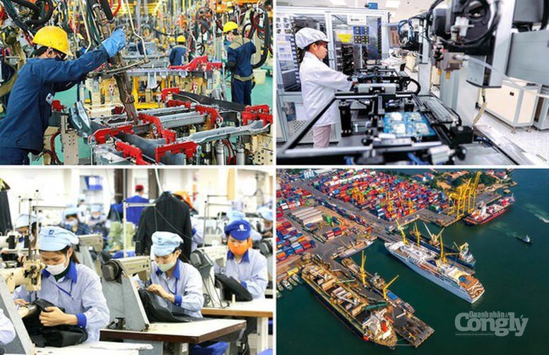 Ban hành Hệ thống ngành sản phẩm Việt Nam- Ảnh 1.
