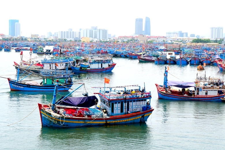 Tổ chức vi phạm nghiêm trọng trong khai thác thủy sản bị phạt tới 2 tỷ đồng. Ảnh minh họa.