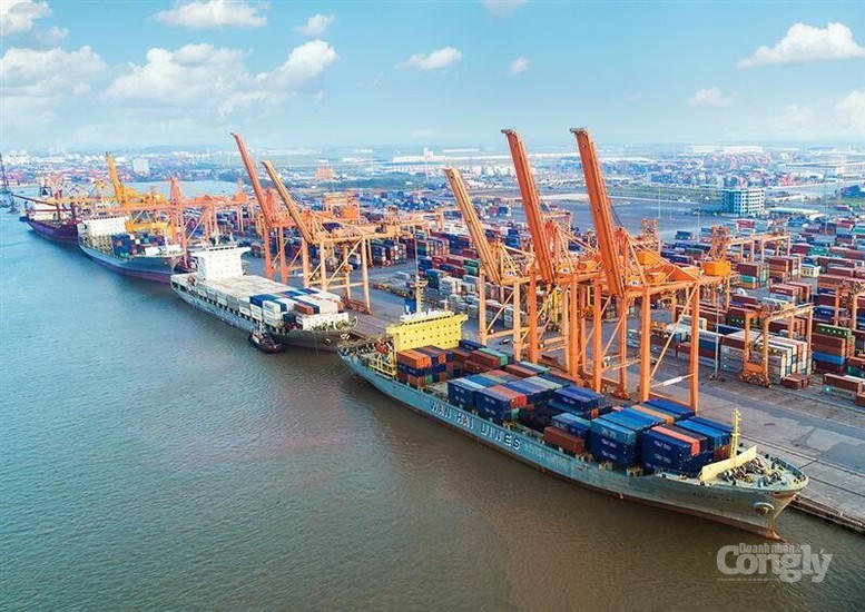 AmCham Việt Nam: Nghị quyết 10 mở ra cơ hội để Việt Nam thu hút dòng vốn đầu tư thế hệ mới- Ảnh 2.