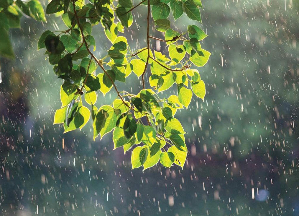 Dự báo thời tiết ngày 13/7: Cảnh báo mưa lớn cục bộ tại Tây Bắc Bộ, Trung Bộ và Nam Bộ, rủi ro lốc sét và mưa đá (Ảnh minh họa).