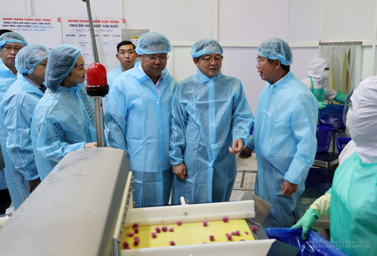 Phó Thủ tướng Hồ Quốc Dũng thăm quy trình sản xuất của Công ty Antesco - Ảnh: VGP/Gia Huy