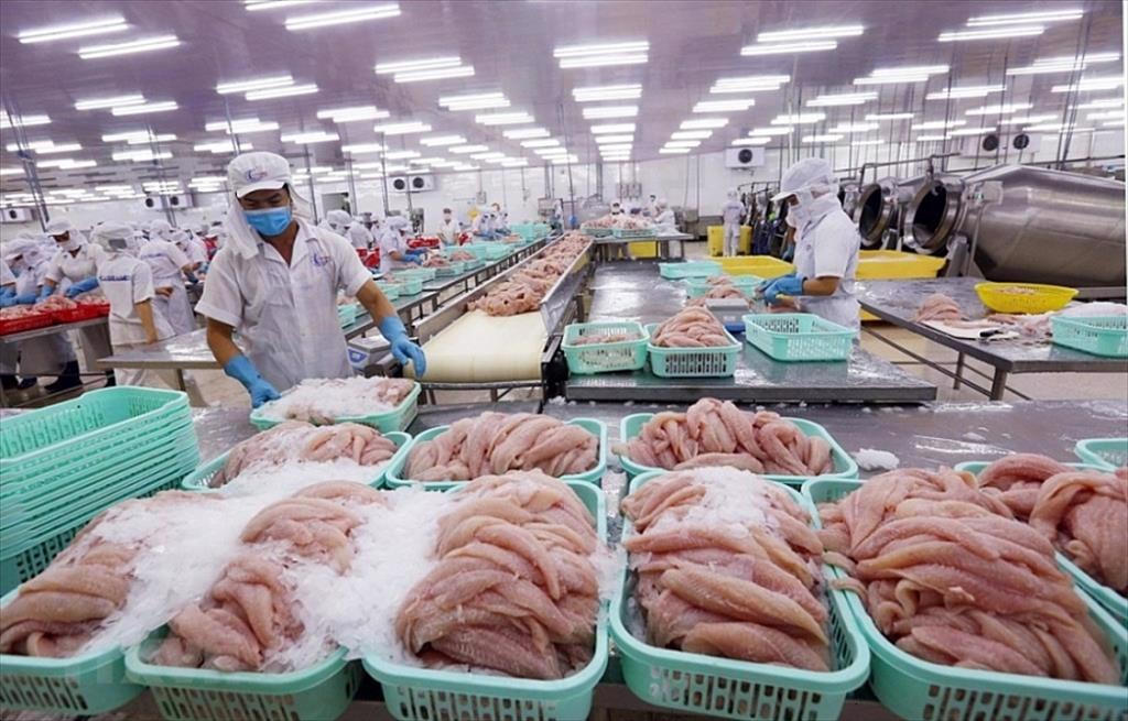 Mặt hàng cá tra Việt Nam được ưa chuộng tại các thị trường trên thế giới.Ảnh: VASEP