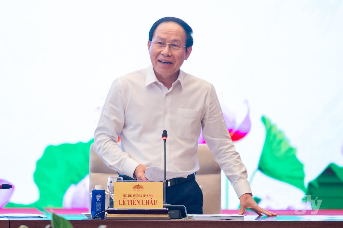 Phó Thủ tướng Chính phủ Lê Tiến Châu phát biểu. (Ảnh: Báo Đại biểu Nhân dân).