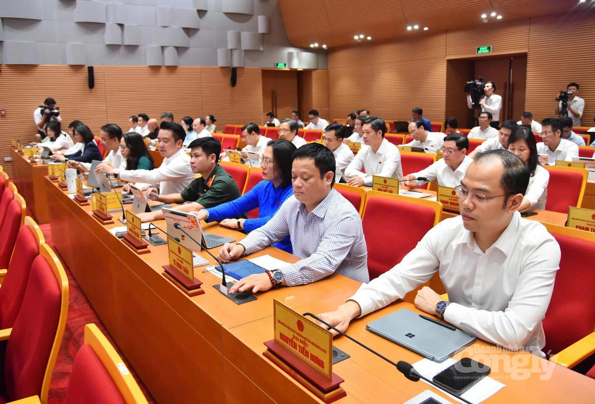 Các đại biểu HĐND TP. Hà Nội biểu quyết tại kỳ họp. Ảnh: VGP