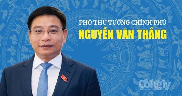 Phó Thủ tướng Chính phủ Nguyễn Văn Thắng. Ảnh: Chính phủ