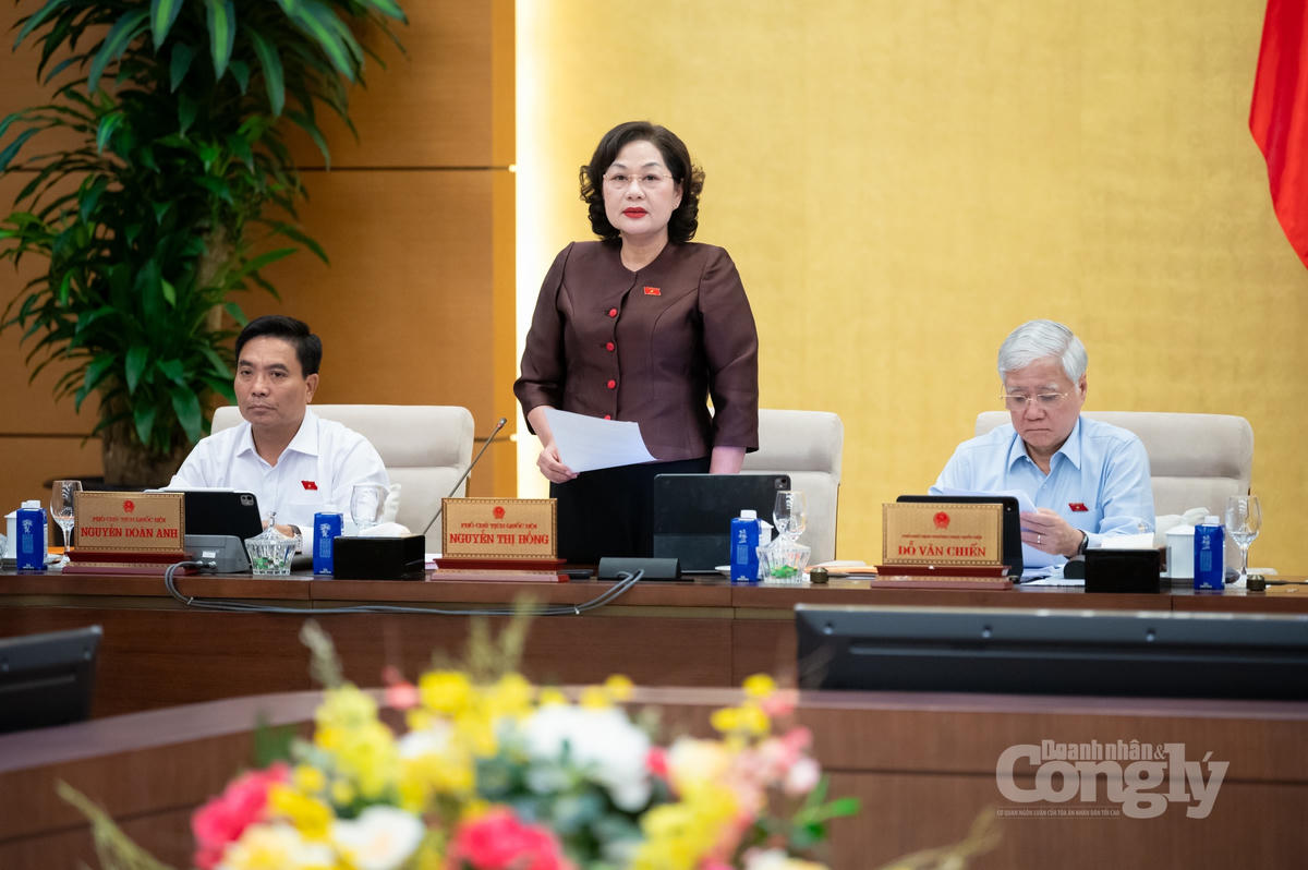 Phó Chủ tịch Quốc hội Nguyễn Thị Hồng phát biểu tại phiên họp. Ảnh: Báo Đại biểu Nhân dân
