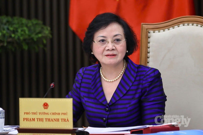 Phó Thủ tướng Chính phủ Phạm Thị Thanh Trà làm Trưởng ban Chỉ đạo quốc gia về phát triển ngành Dược Việt Nam giai đoạn đến năm 2030, tầm nhìn đến năm 2045. Ảnh: VGP