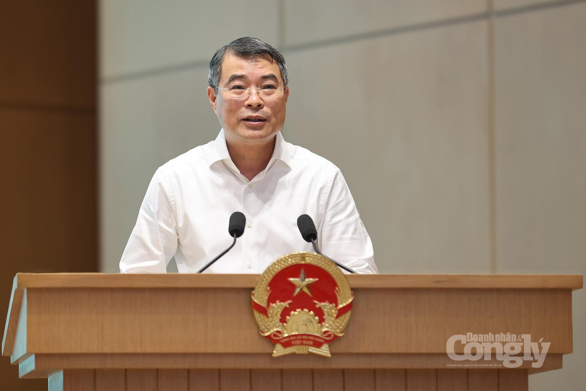 Thủ tướng Chính phủ Lê Minh Hưng. Ảnh: VGP