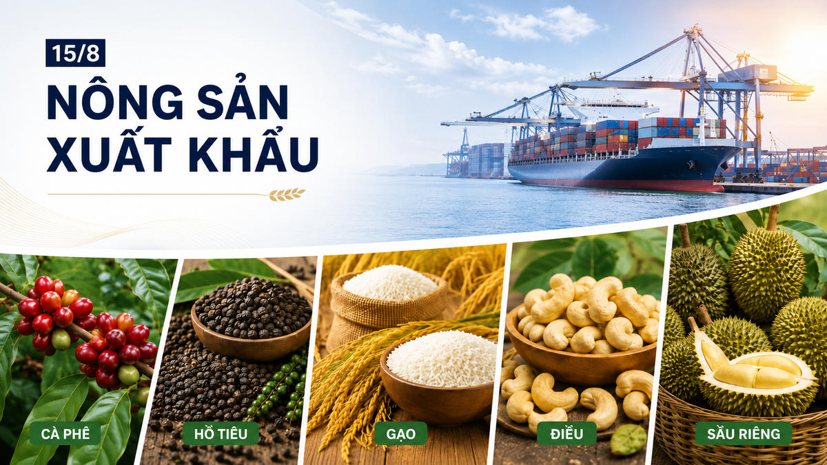 Nông sản xuất khẩu 15/8: Cà phê giảm phiên thứ ba liên tiếp