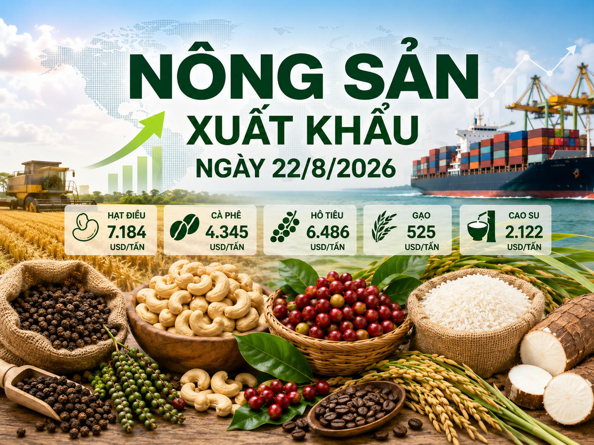 Nông sản xuất khẩu 22/8: Điều, tiêu dẫn đầu về giá. Ảnh minh họa được tạo với sự hỗ trợ của AI.