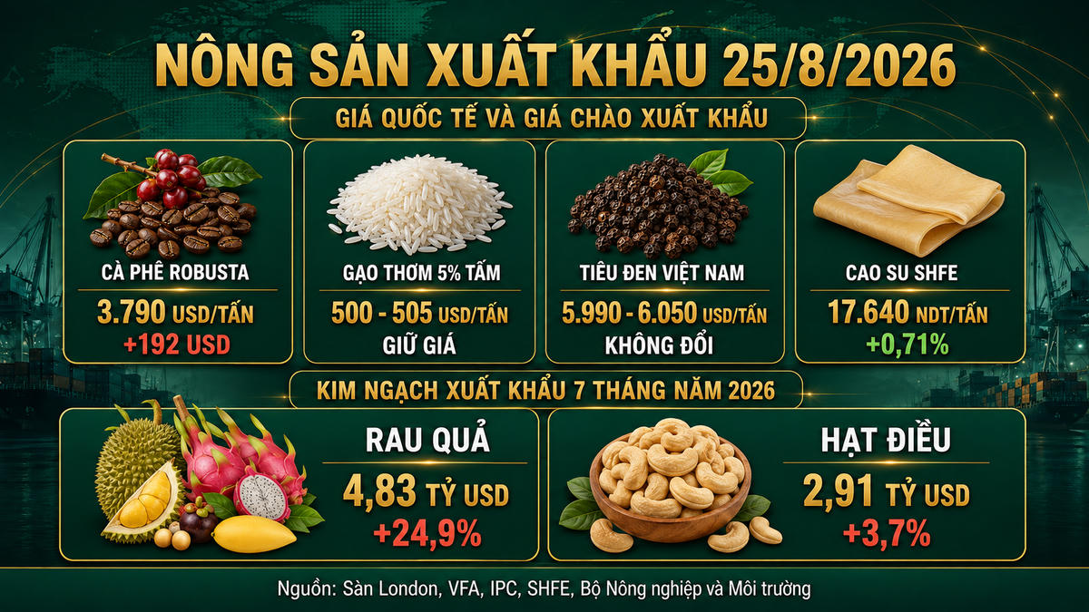 Kết thúc phiên giao dịch ngày 24/8, giá hợp đồng cà phê kỳ hạn trên hai sàn quốc tế đồng loạt tăng mạnh. Ảnh minh họa được tạo với sự hỗ trợ của AI.