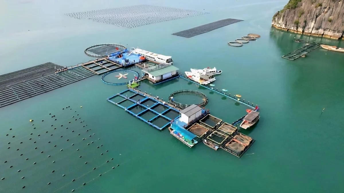Việt Nam tổ chức triển lãm quốc tế chuyên ngành nuôi biển công nghiệp năm 2026. (Ảnh minh họa)