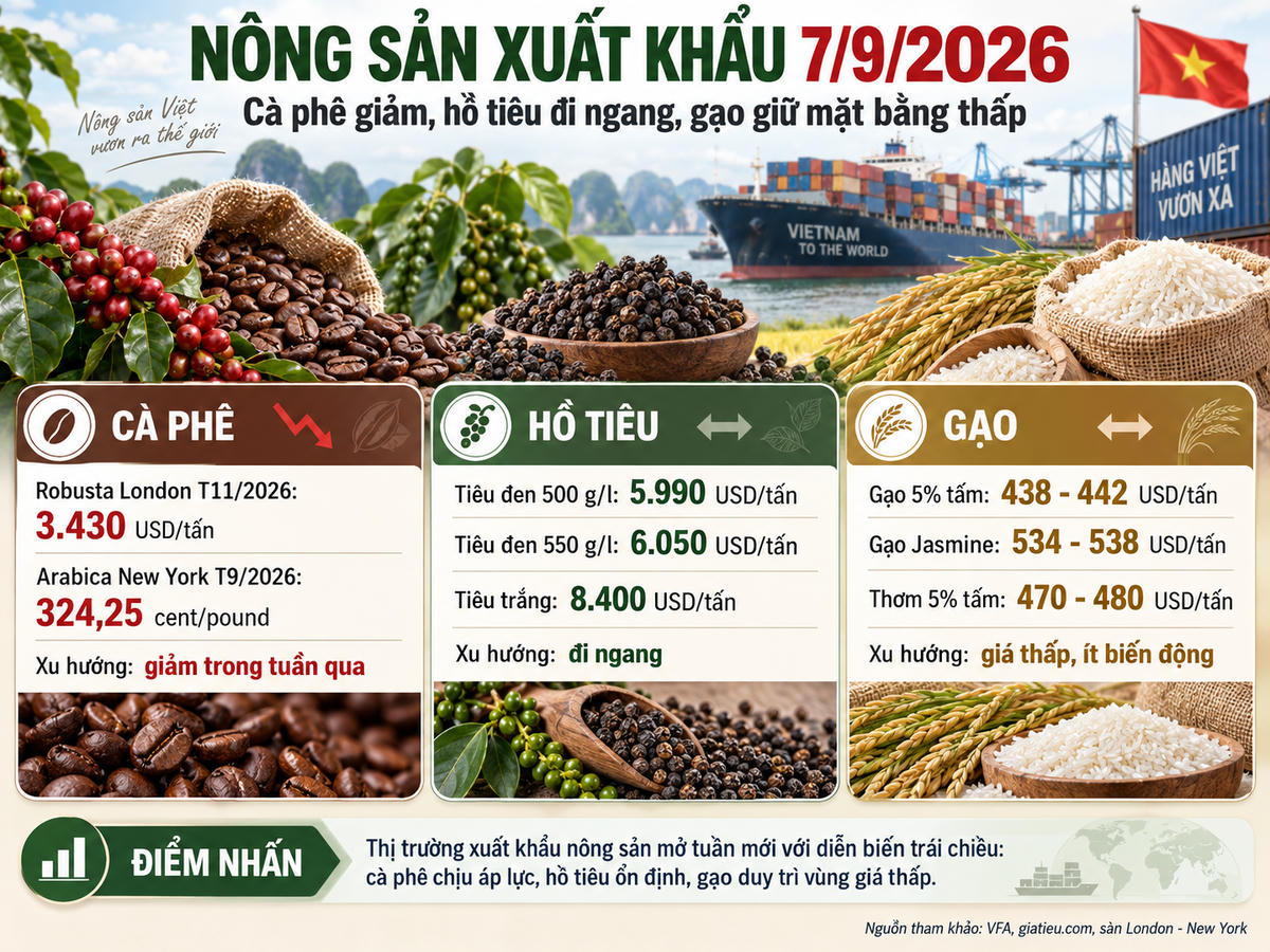 Thị trường nông sản xuất khẩu bước vào tuần mới với diễn biến khá phân hóa. Ảnh được tạo với sự hỗ trợ của AI.