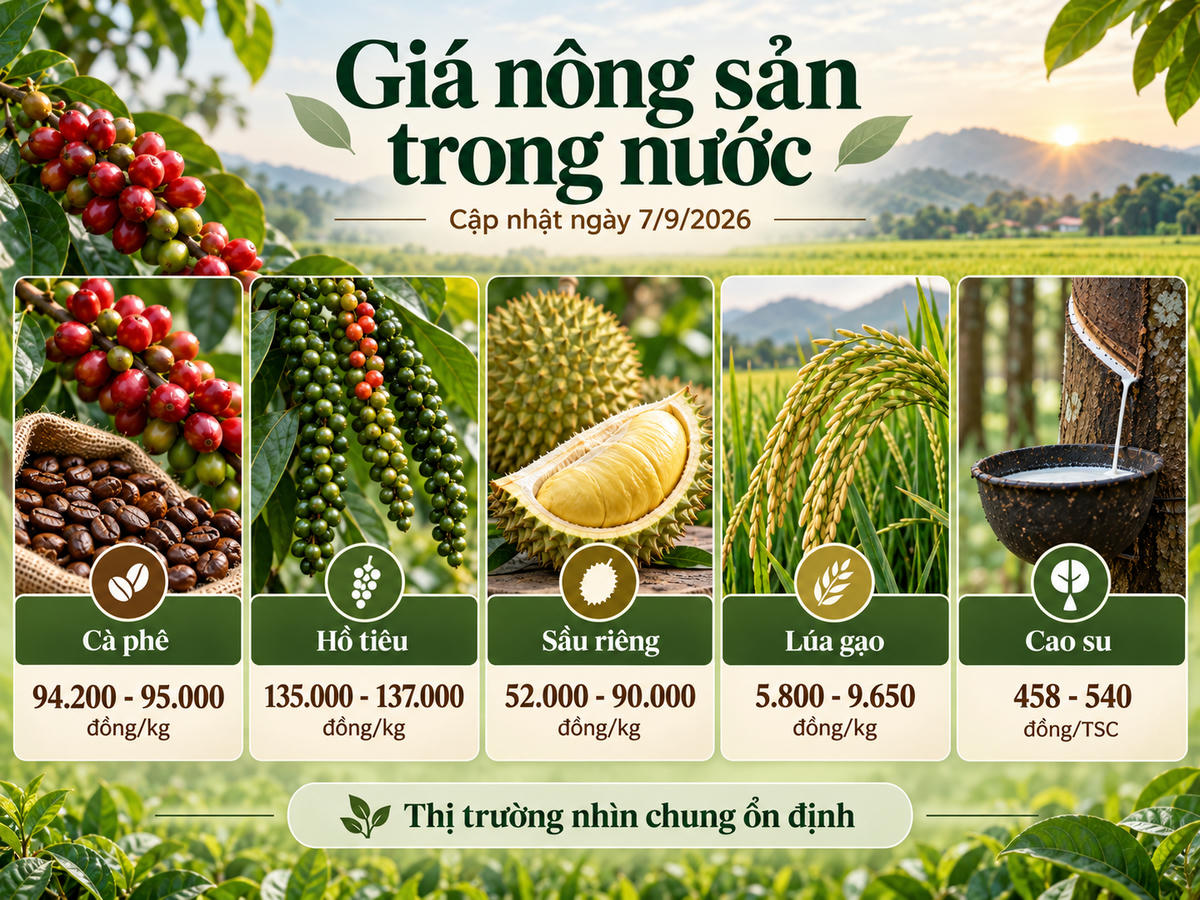 Nông sản trong nước 7/9: Cà phê giữ mốc 95.000 đồng/kg, hồ tiêu cao nhất 137.000 đồng/kg. Ảnh minh họa được tạo với sự hỗ trợ của AI.