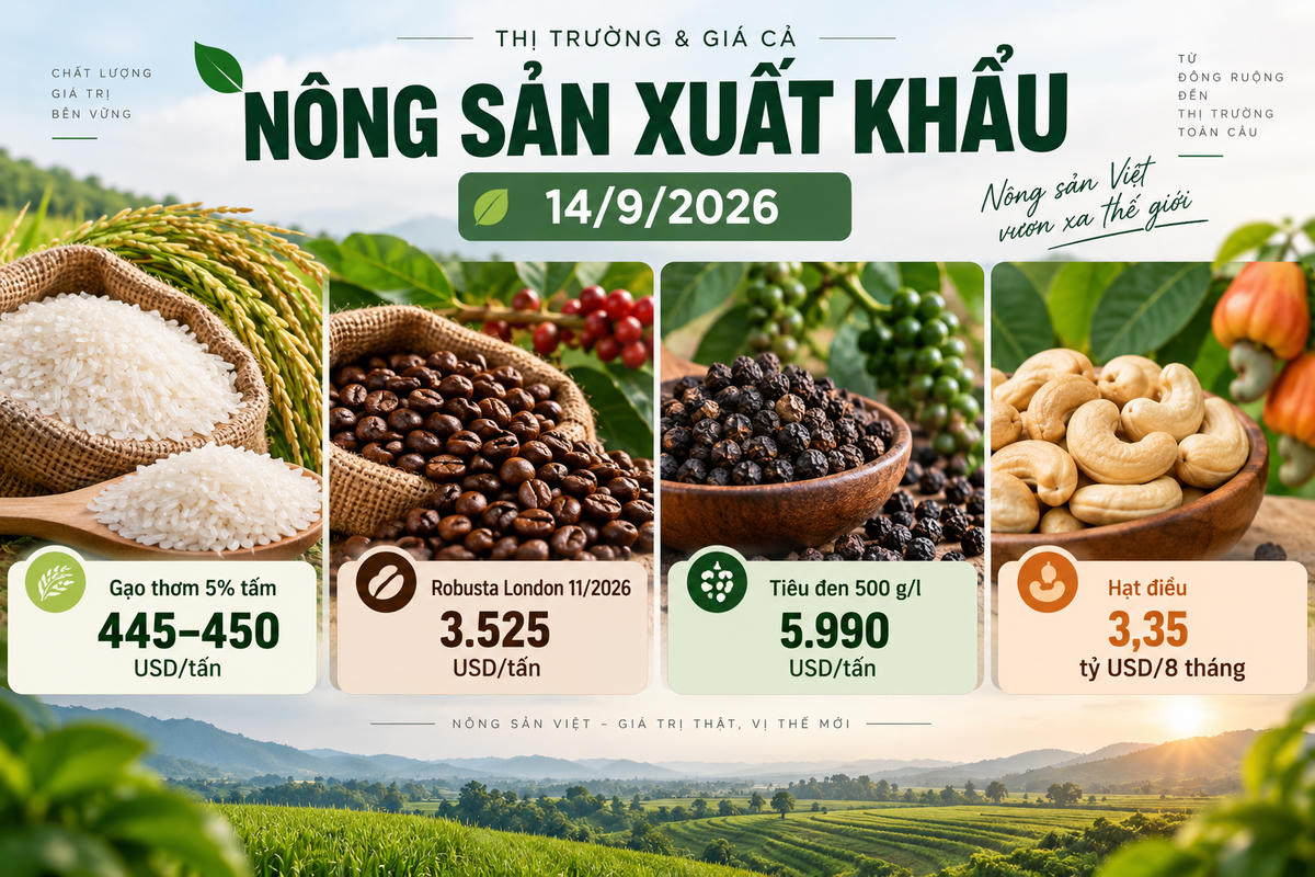 Nông sản xuất khẩu 14/9: Tiêu giữ giá cao, gạo đi ngang, cà phê chờ phiên mới. Ảnh được tạo với sự hỗ trợ của AI.