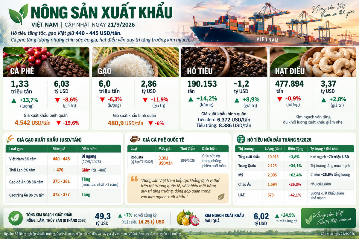 Nông sản xuất khẩu 21/9: Hồ tiêu tăng tốc, gạo Việt giữ 440-445 USD/tấn. Ảnh được tạo với sự hỗ trợ của AI.