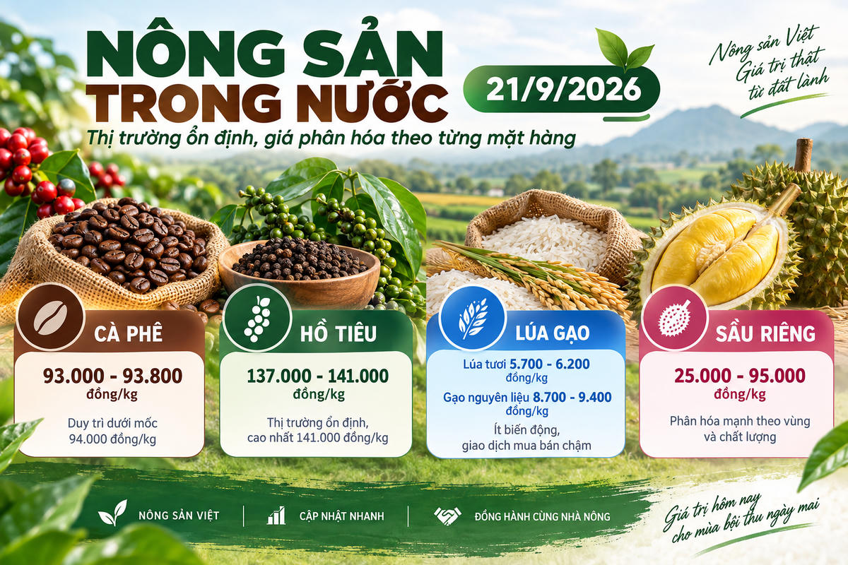 Nông sản trong nước 21/9: Cà phê dưới 94.000 đồng/kg, hồ tiêu cao nhất 141.000 đồng/kg. Ảnh được tạo với sự hỗ trợ của AI.