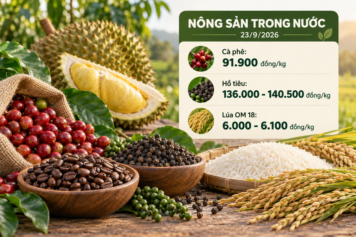 Nông sản trong nước 23/9: Cà phê giảm sâu, hồ tiêu mất tới 1.000 đồng/kg. Ảnh được tạo với sự hỗ trợ của AI.
