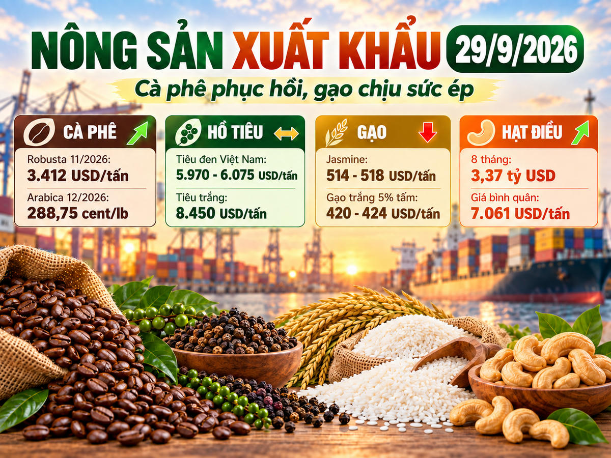 Thị trường nông sản xuất khẩu ngày 29/9 ghi nhận cà phê thế giới phục hồi mạnh, hồ tiêu Việt Nam duy trì quanh 6.000 USD/tấn. Ảnh được tạo với sự hỗ trợ của AI.