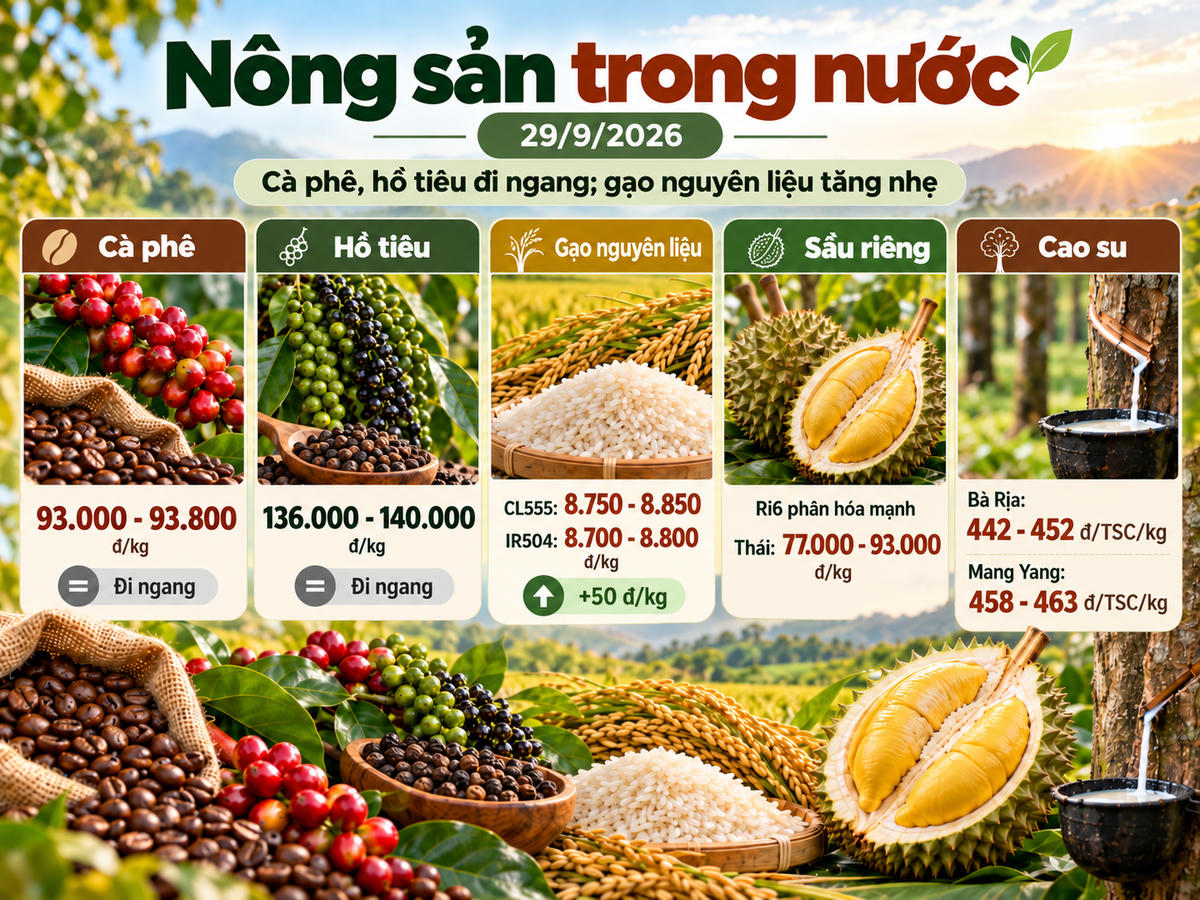 Thị trường nông sản trong nước ngày 29/9/2026 khá ổn định. Ảnh được tạo với sự hỗ trợ của AI.